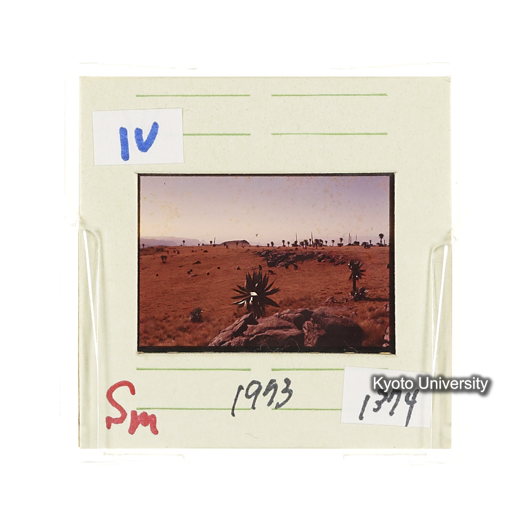 Sm　1973　1379 (2)