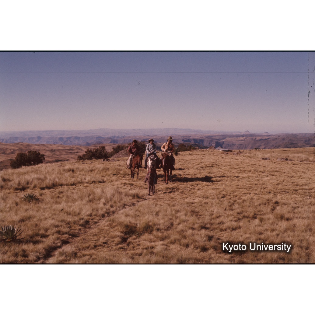 Sm　1973　1165 (1)