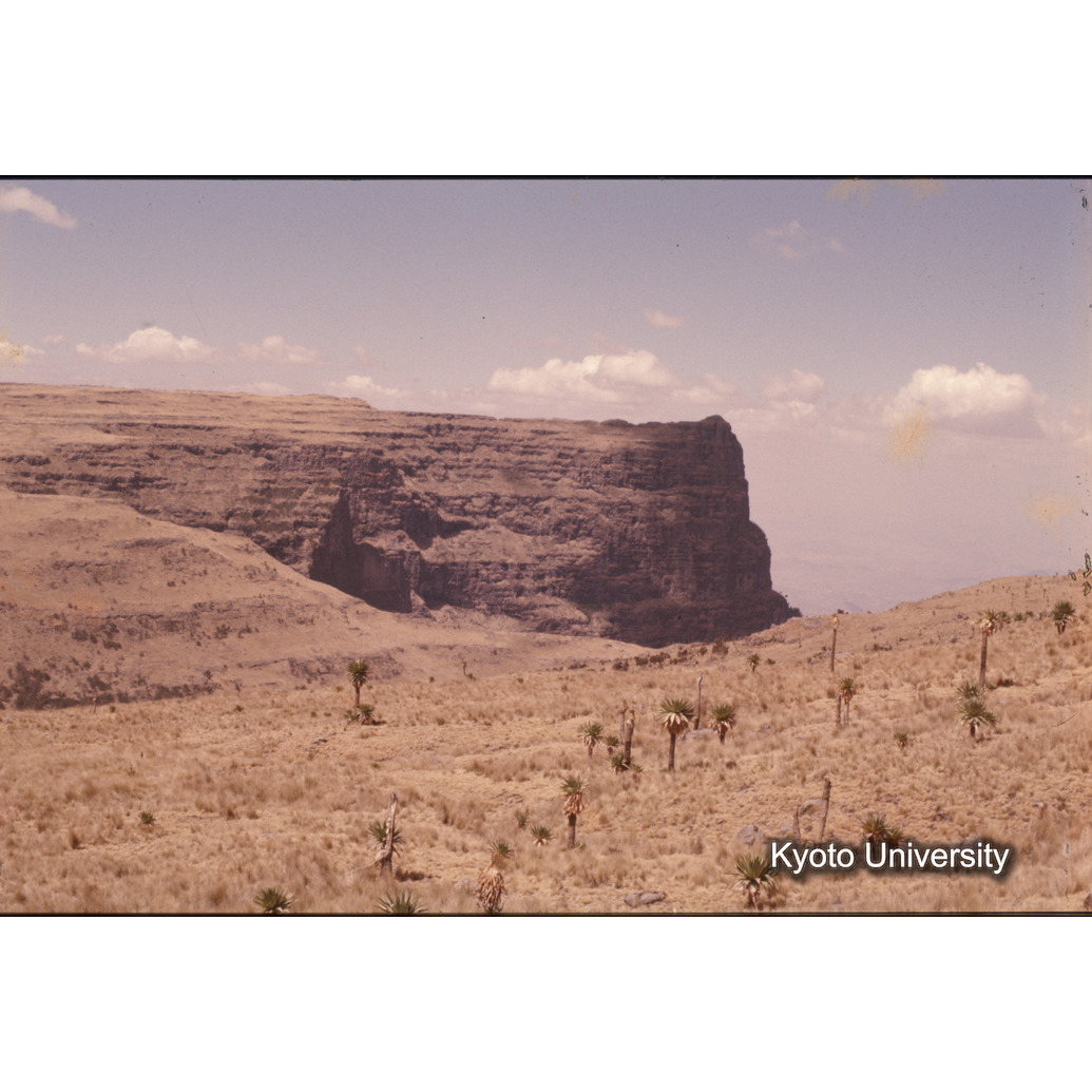 Sm　1973　R67　●[赤色シール] (1)