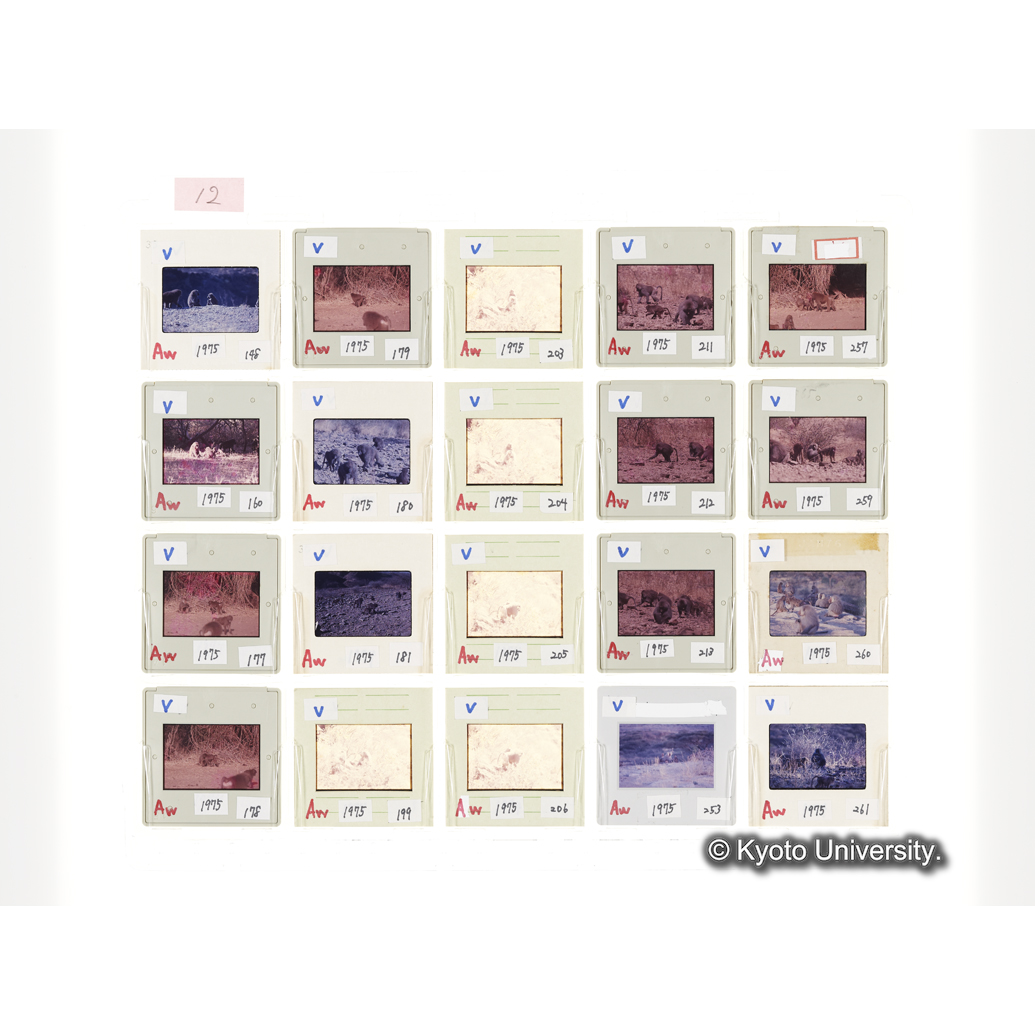 [スライドシート]12 (1)