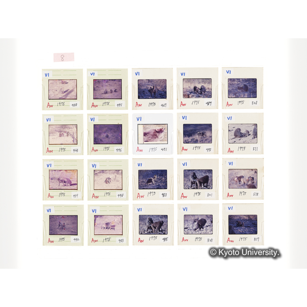 [スライドシート] 8 (1)