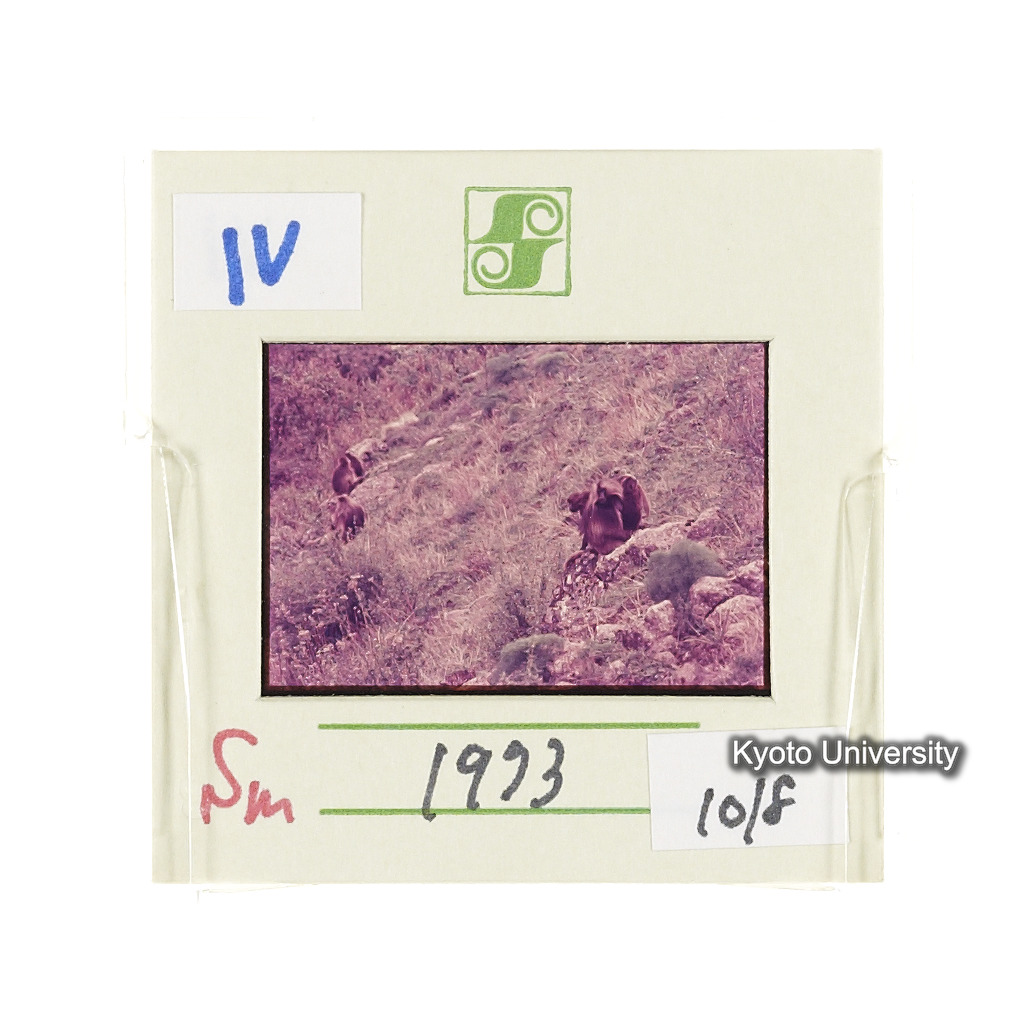 Sm　1973　1018 (2)