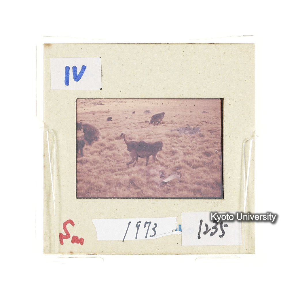 Sm　1973　1235 (2)