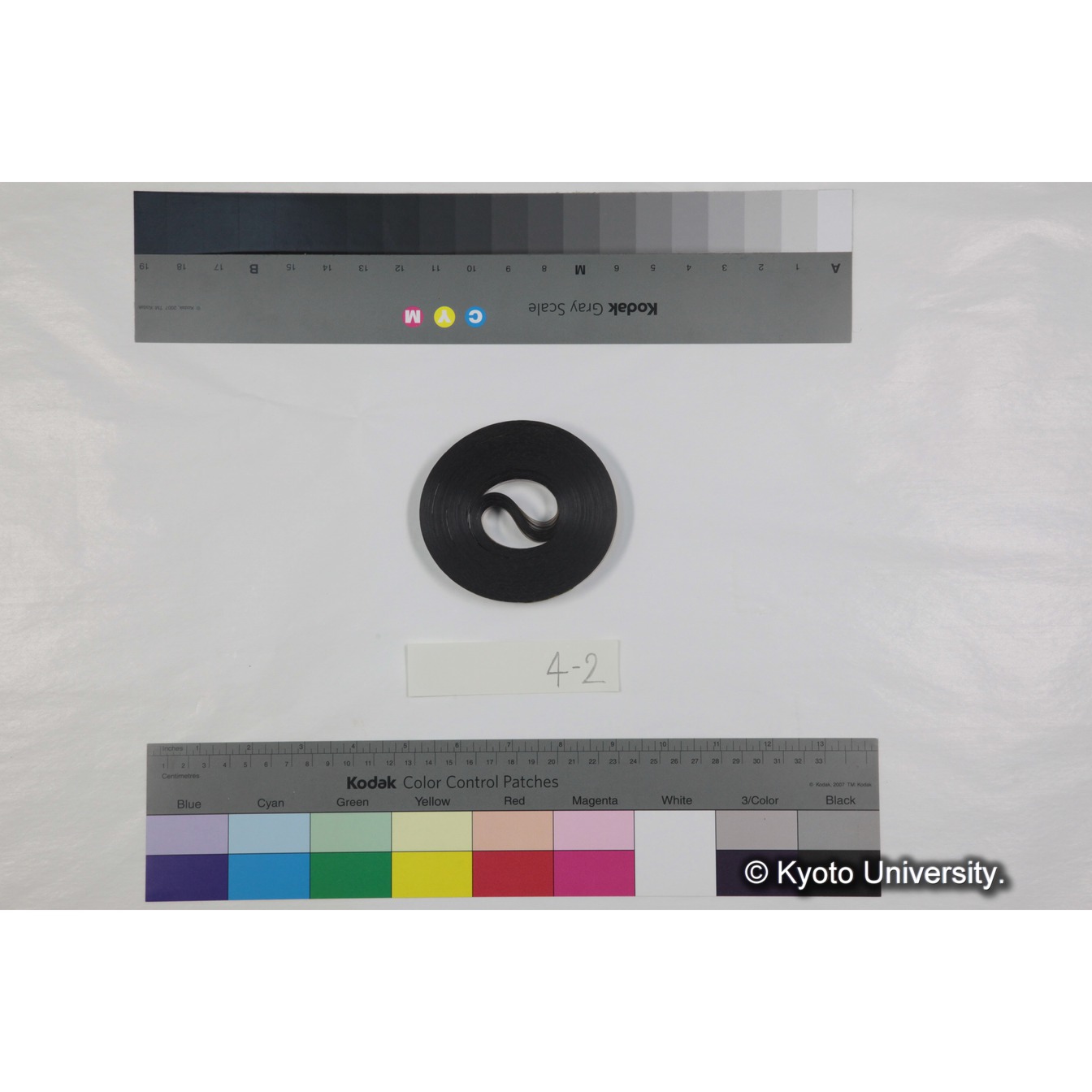 ゲラダヒヒ，セミエン (1973) フッテージ束２ (59)