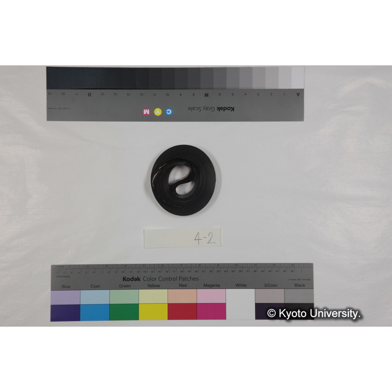 ゲラダヒヒ，セミエン (1973) フッテージ束２ (60)