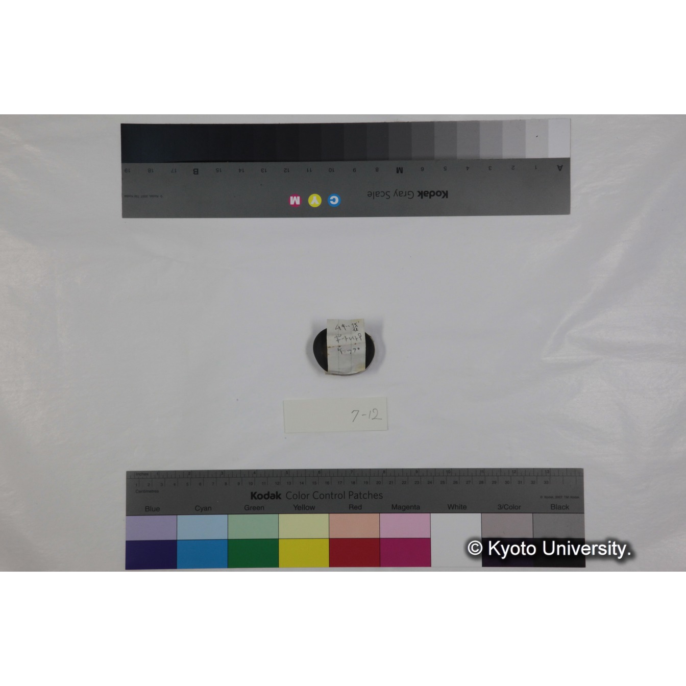 フッテージ１２「「ムギ袋　ポートレイト♀　ゲップ」」 (3)