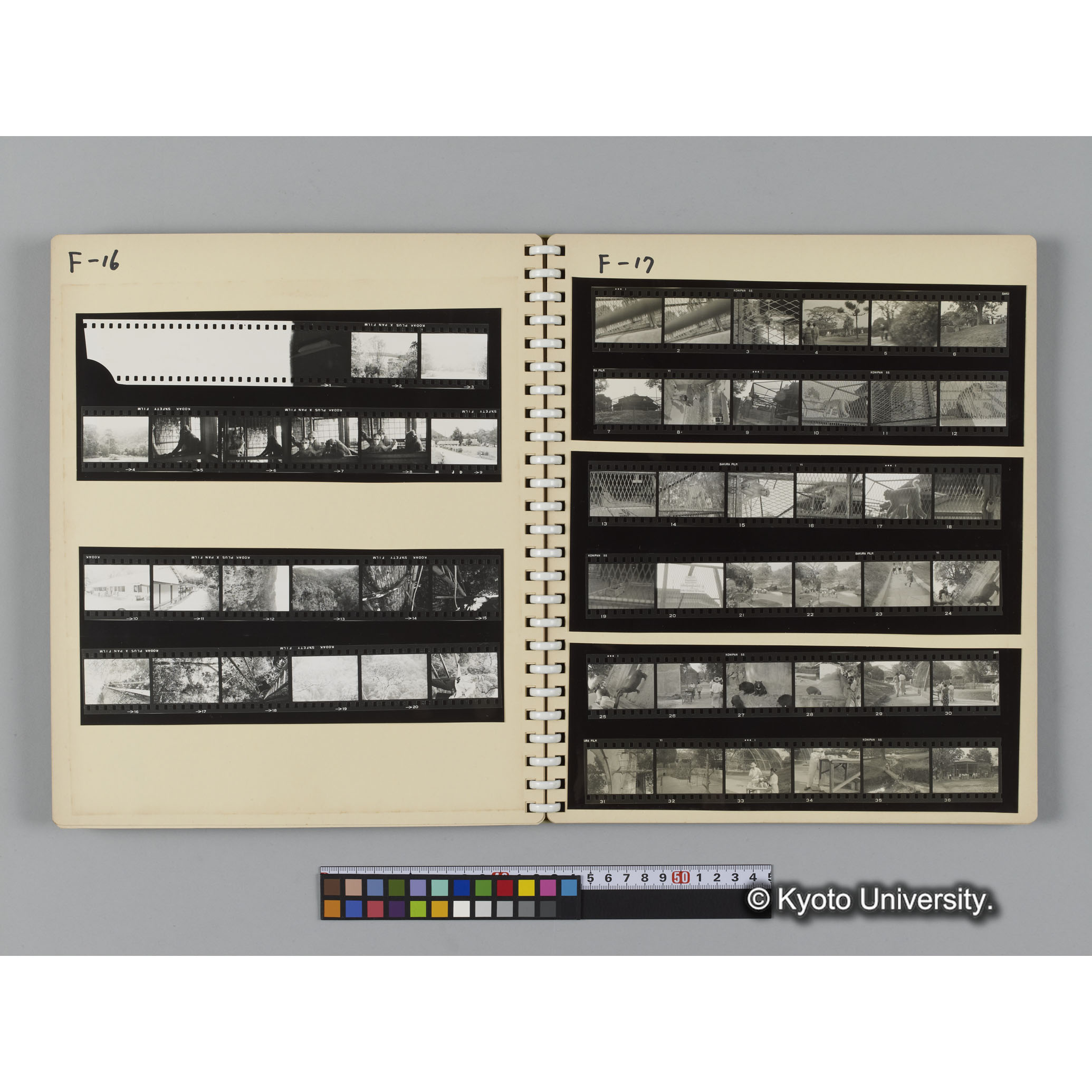 アルバム８，吉場健二写真アルバム（コンタクトシート） (10)