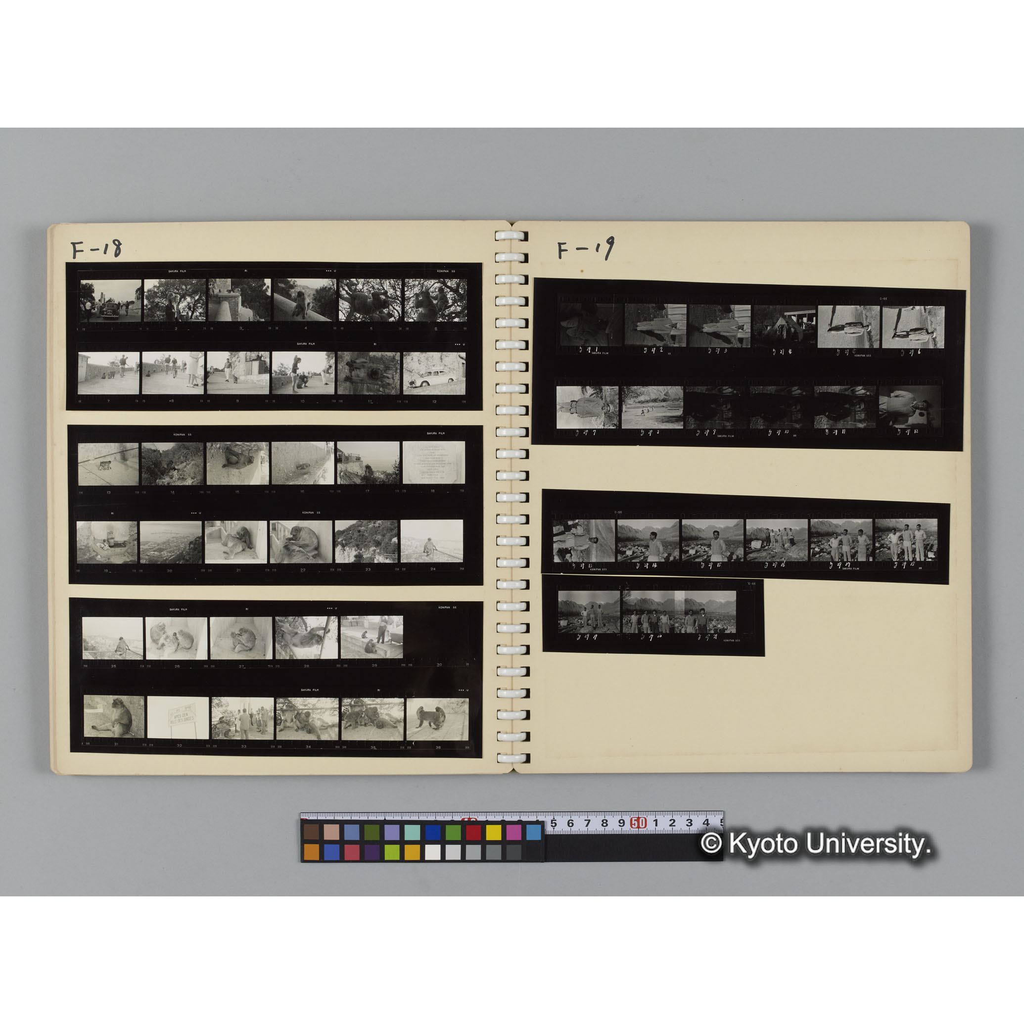 アルバム８，吉場健二写真アルバム（コンタクトシート） (11)