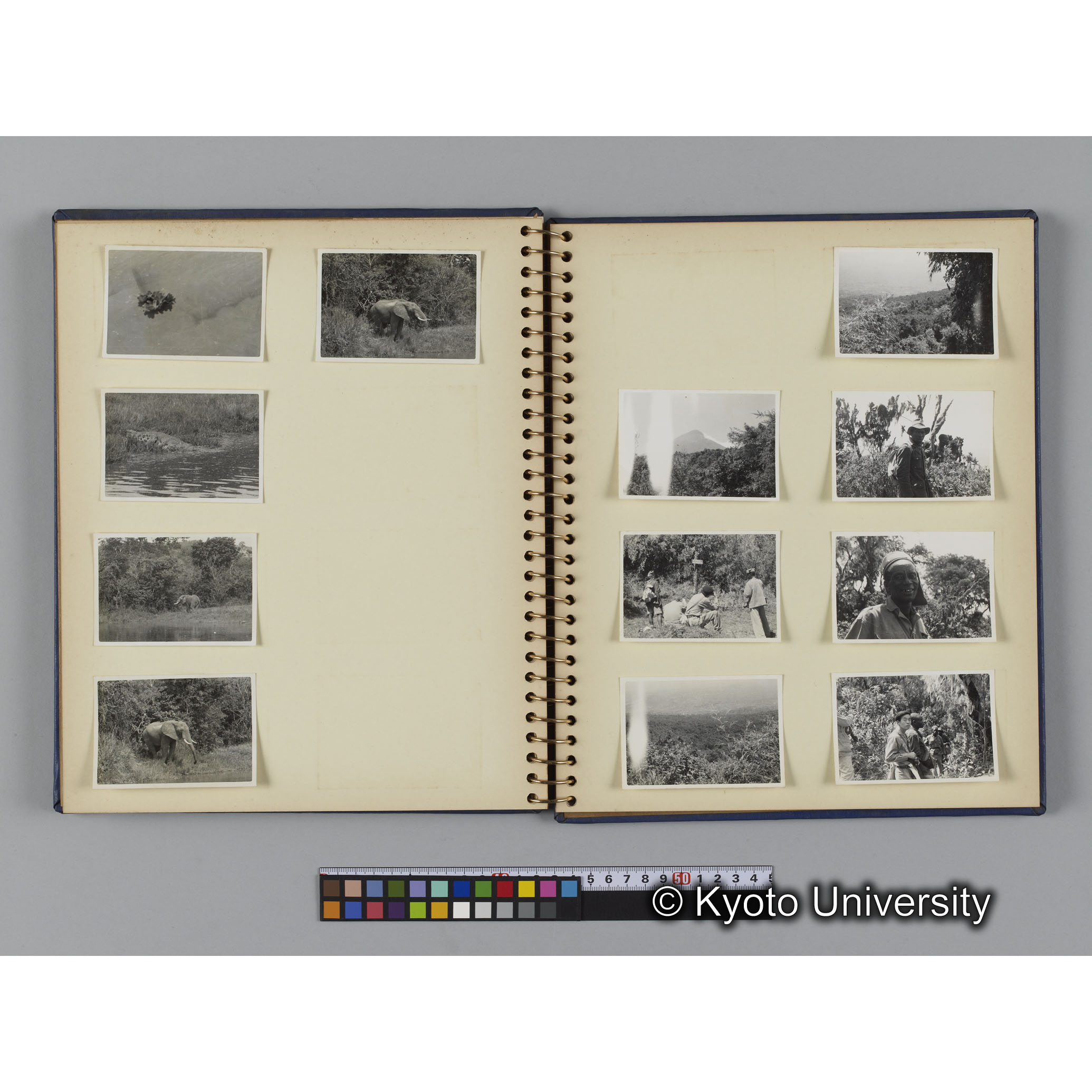 [見開き１１]「マーチソンフォールズとムハブラ調査」 (1)