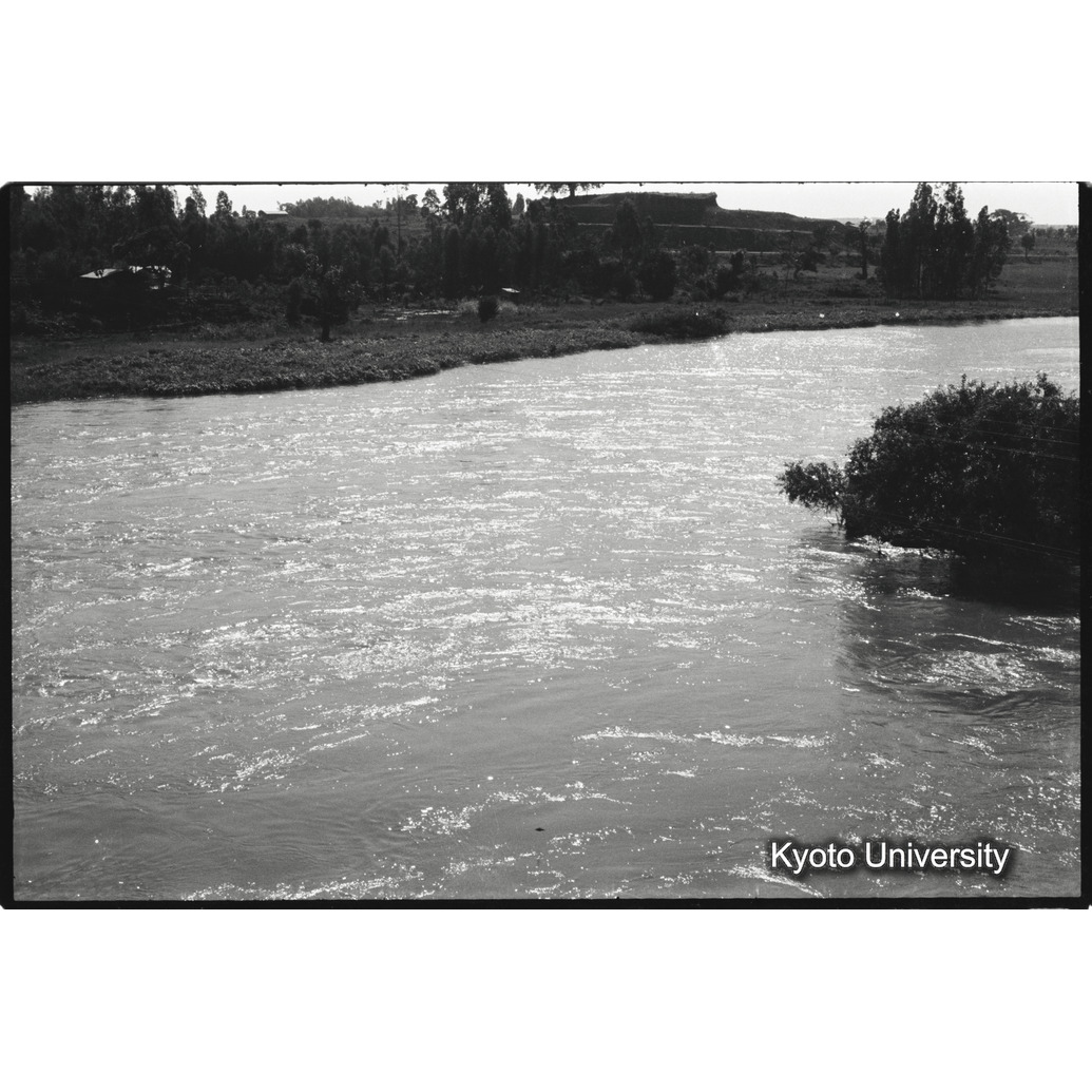 [７コマ目]「タナ湖（５）」 (1)