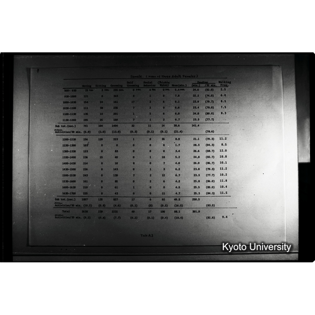 [２０コマ目]「×」 (1)