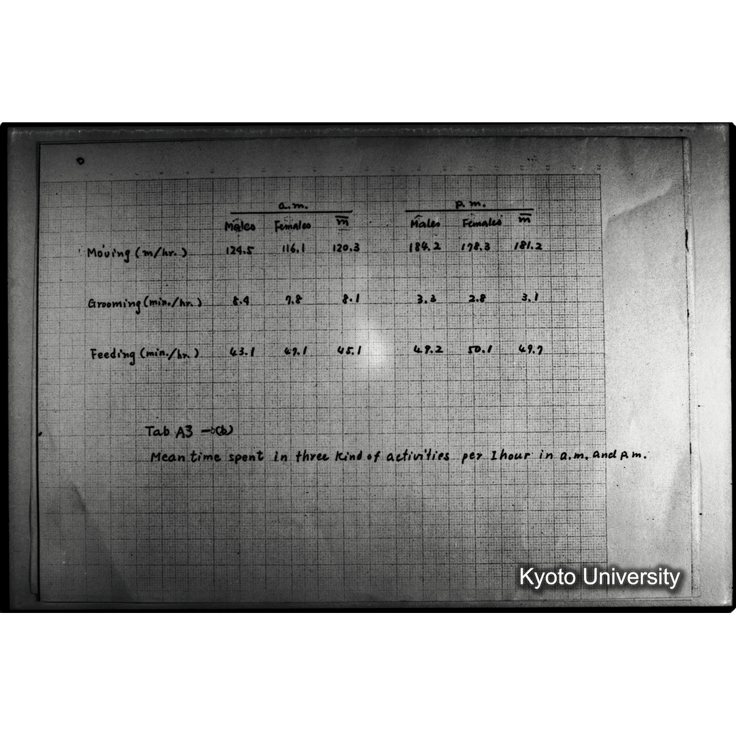 [２３コマ目]「×」 (1)