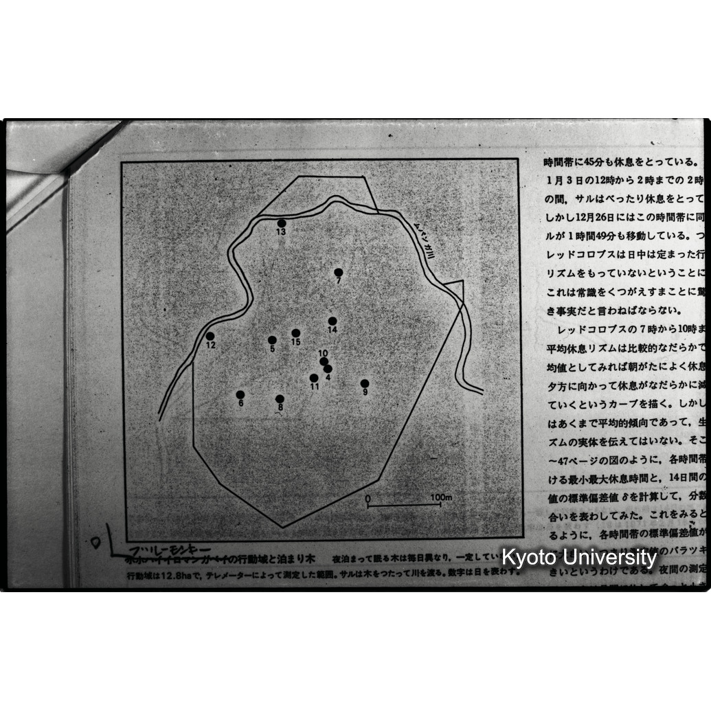 [１５コマ目]「×」 (1)