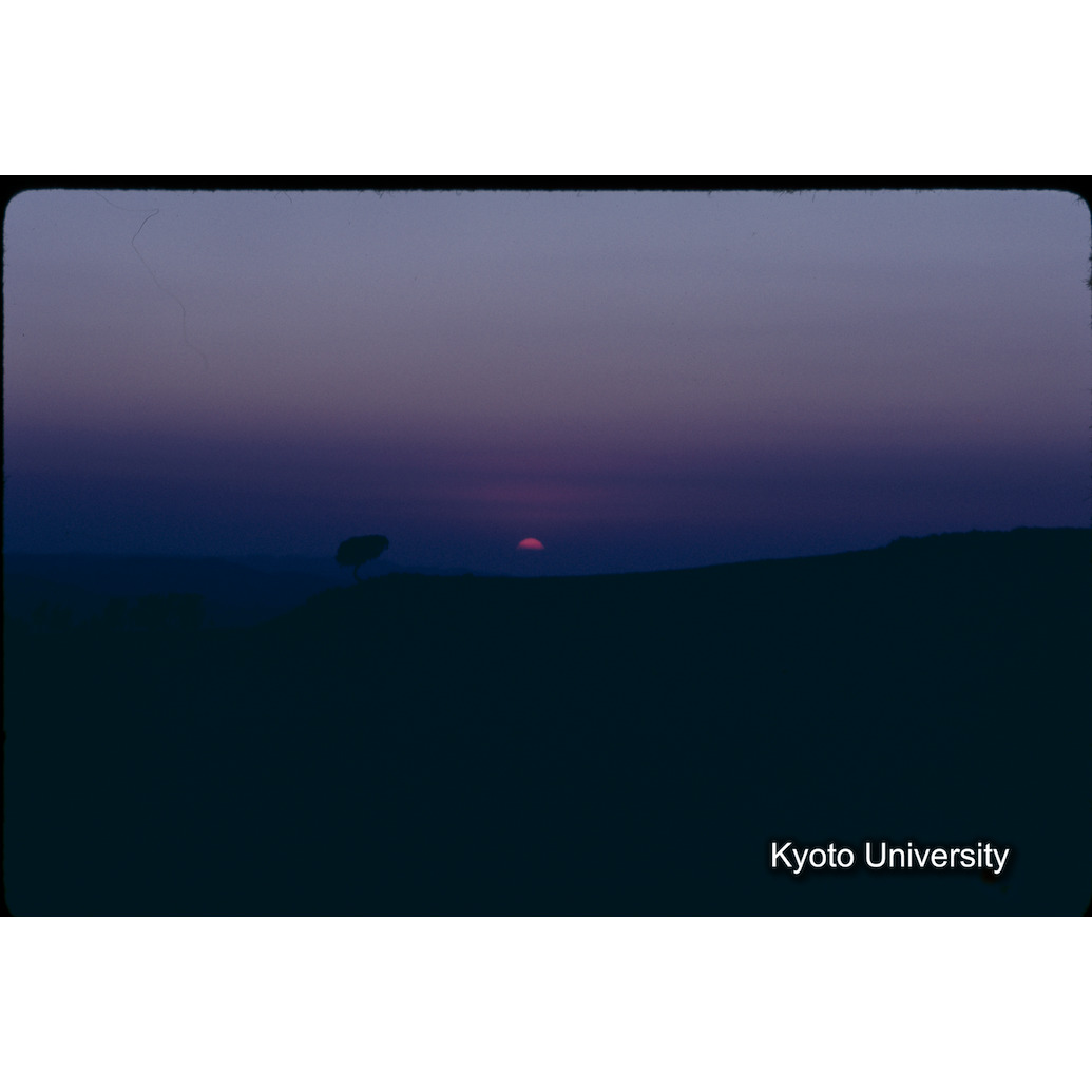 Sm　1973　1437 (1)