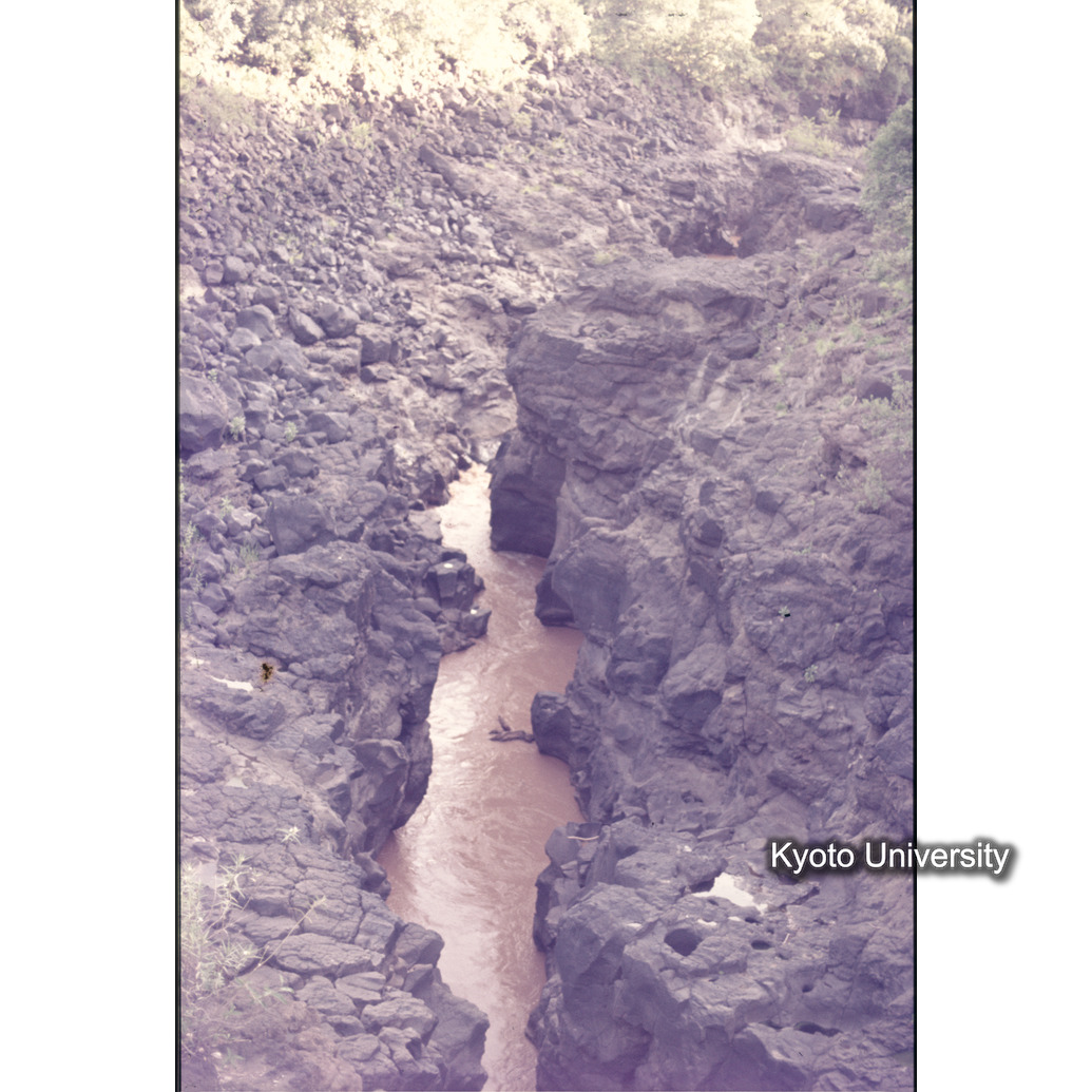 Sm　1973　1150 (1)