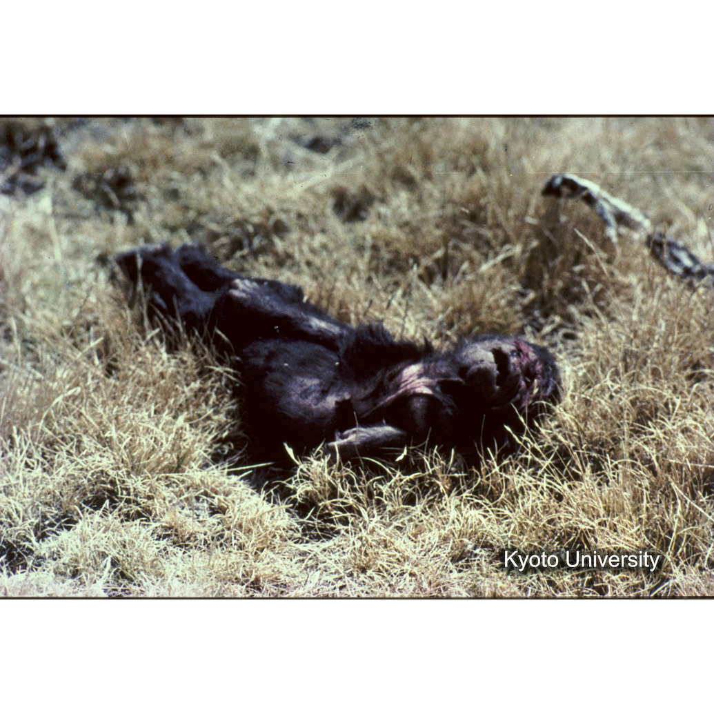 Sm　1973　R34　●[赤色シール] (1)