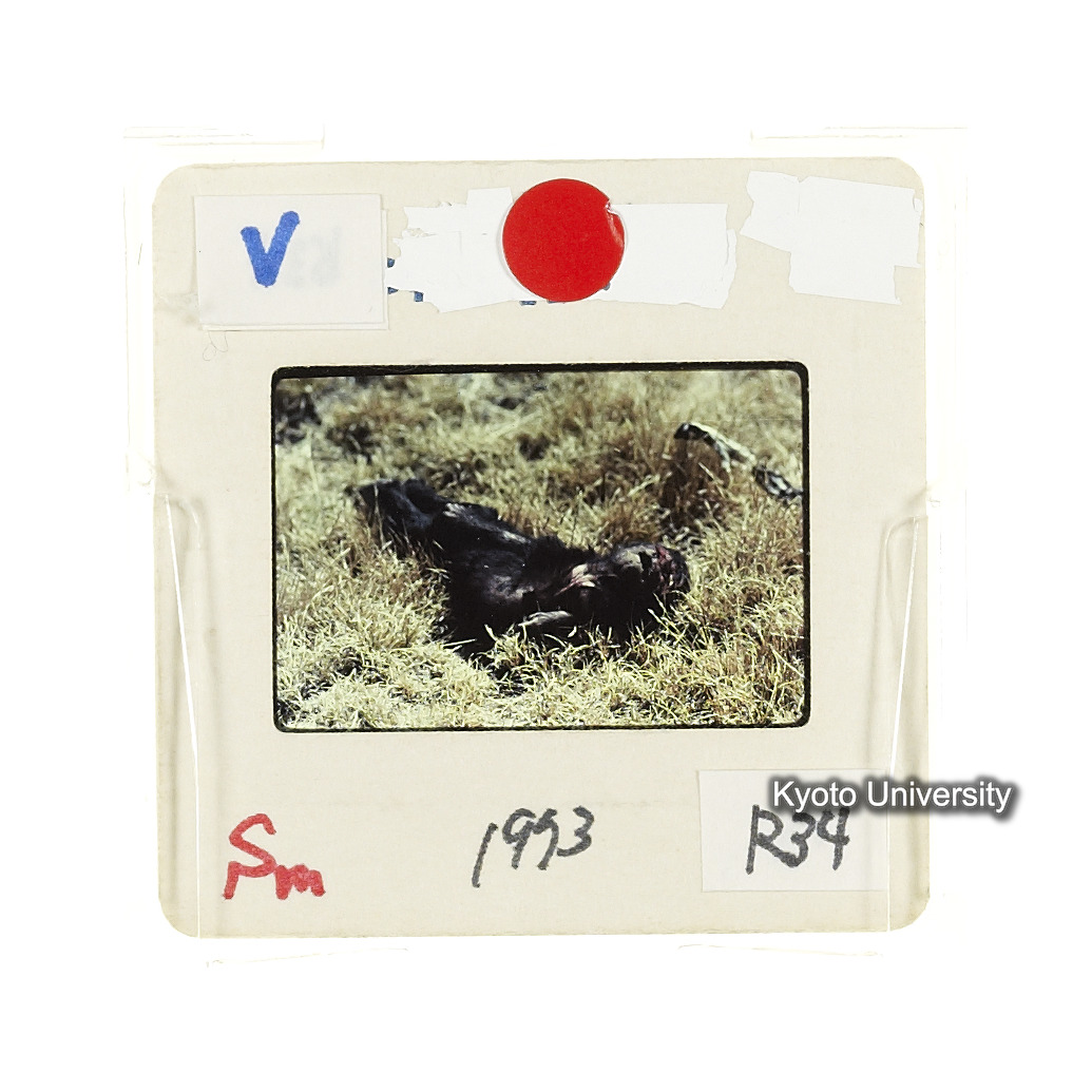 Sm　1973　R34　●[赤色シール] (2)