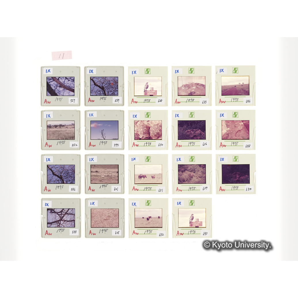 [スライドシート]11 (1)