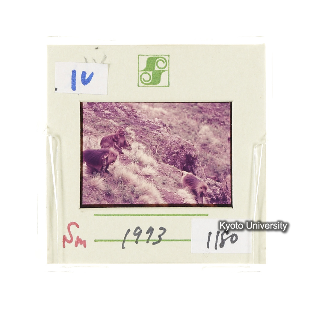 Sm　1973　1180 (2)