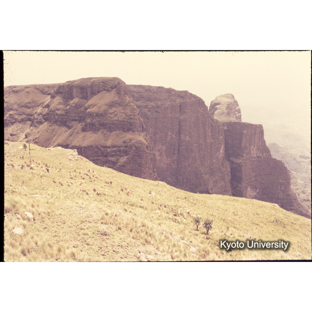 Sm　1973　1296 (1)