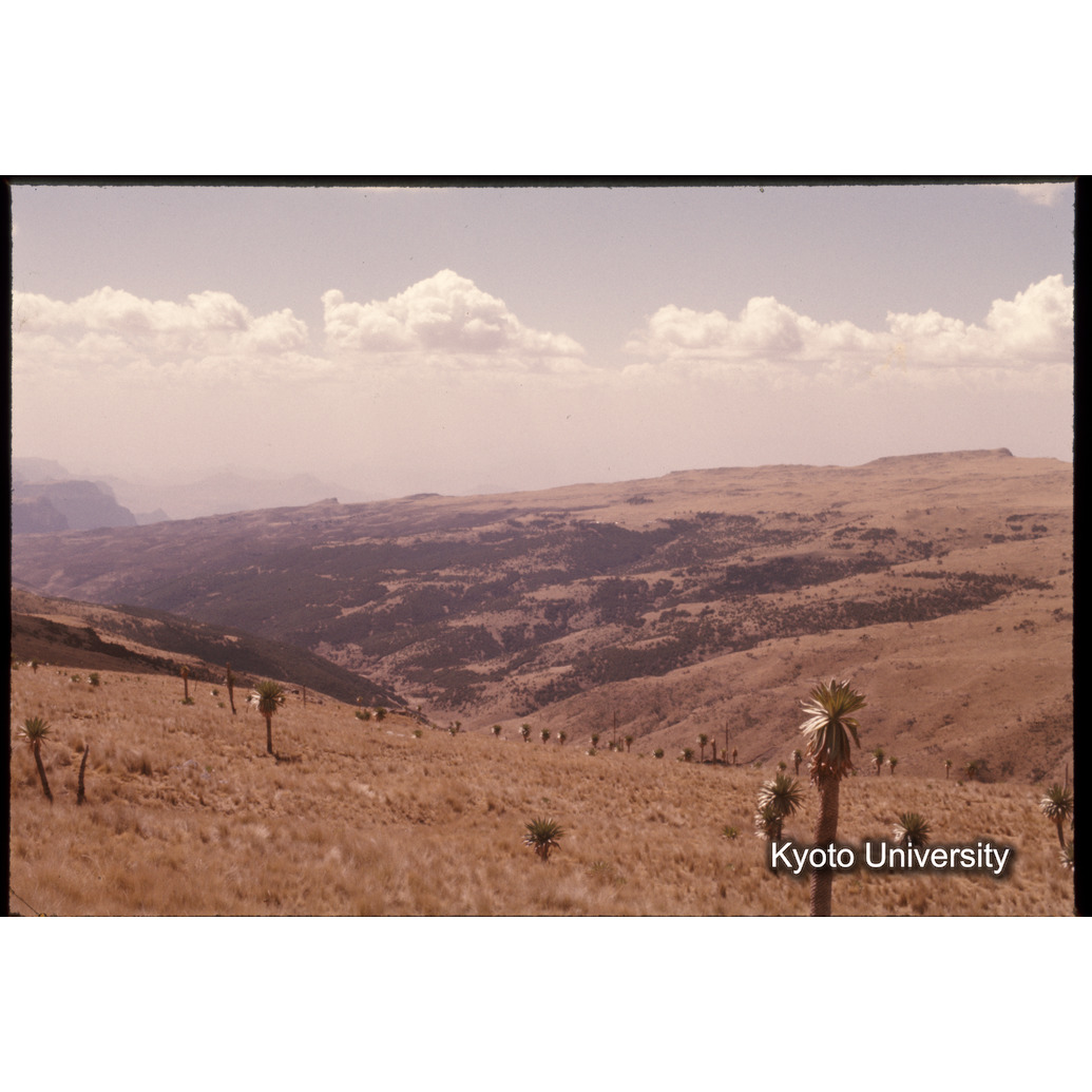 Sm　1973　1463 (1)