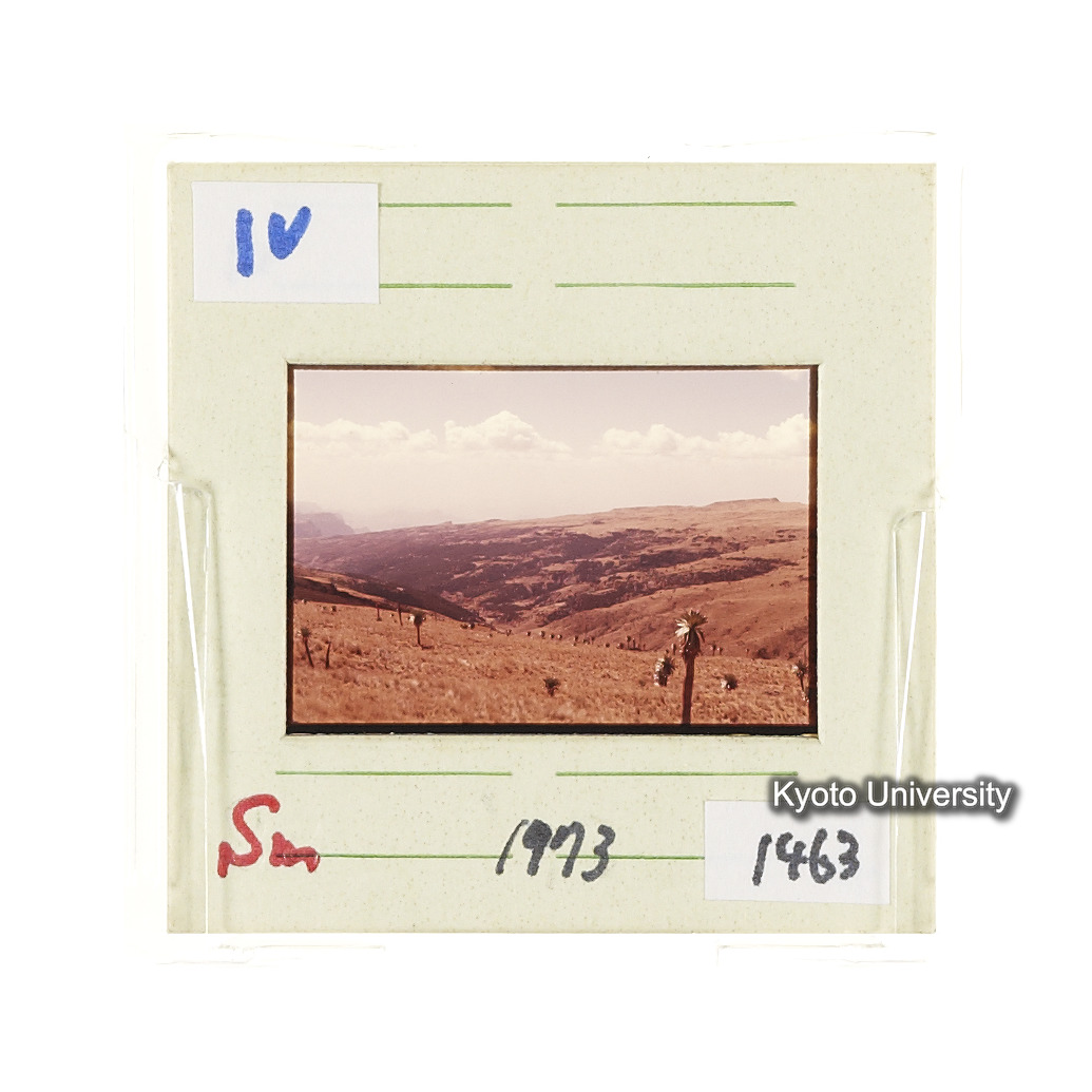 Sm　1973　1463 (2)