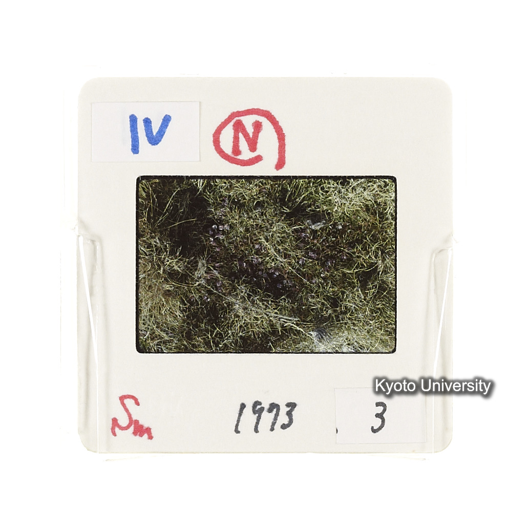 Sm　1973　3　（N）[赤色, 丸囲み] (2)