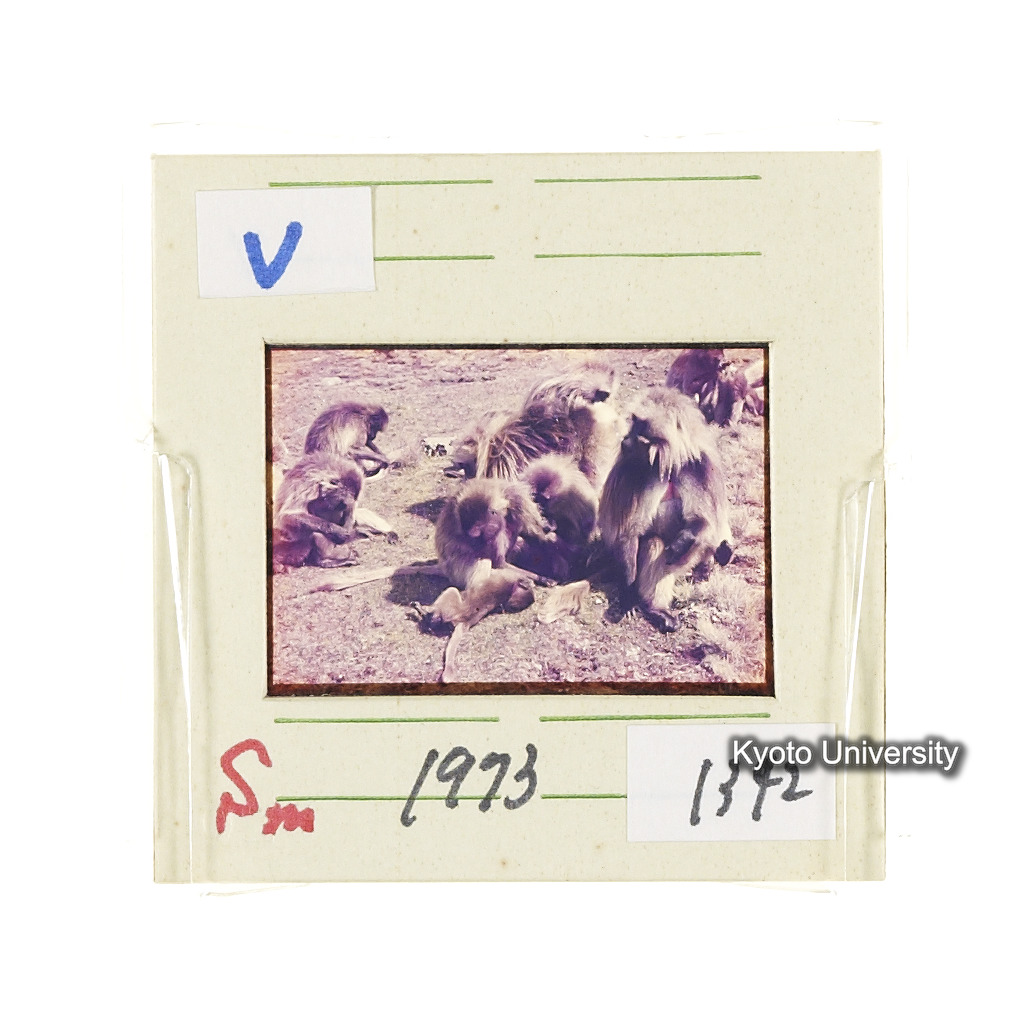 Sm　1973　1342 (2)