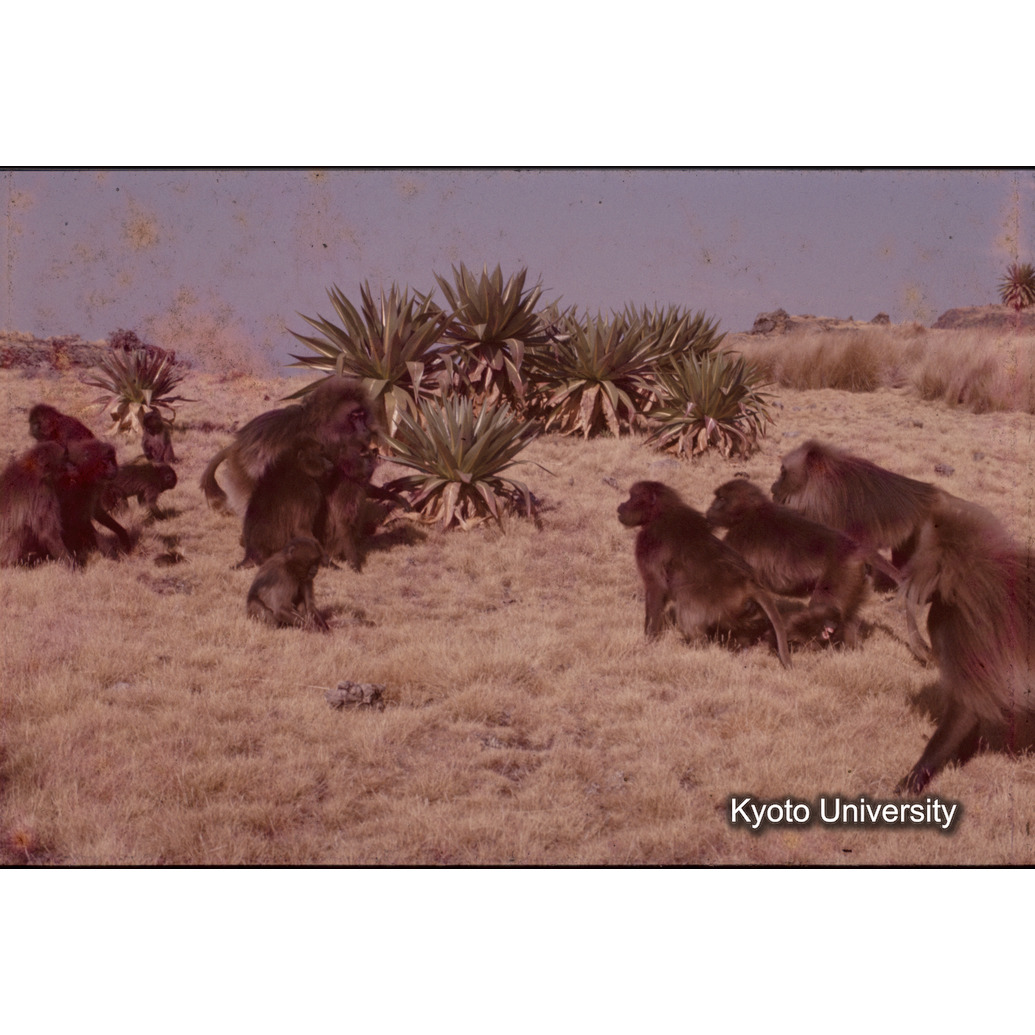 Sm　1973　1349 (1)