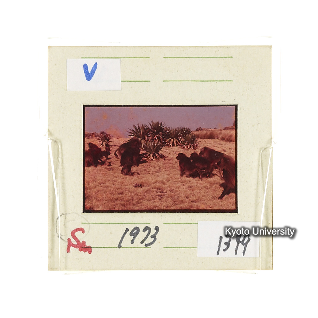 Sm　1973　1349 (2)