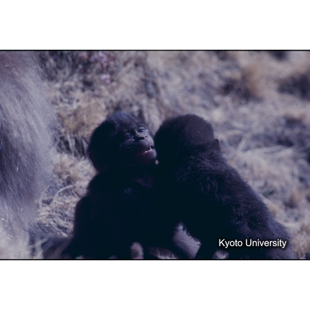 Sm　1973　1427 (1)