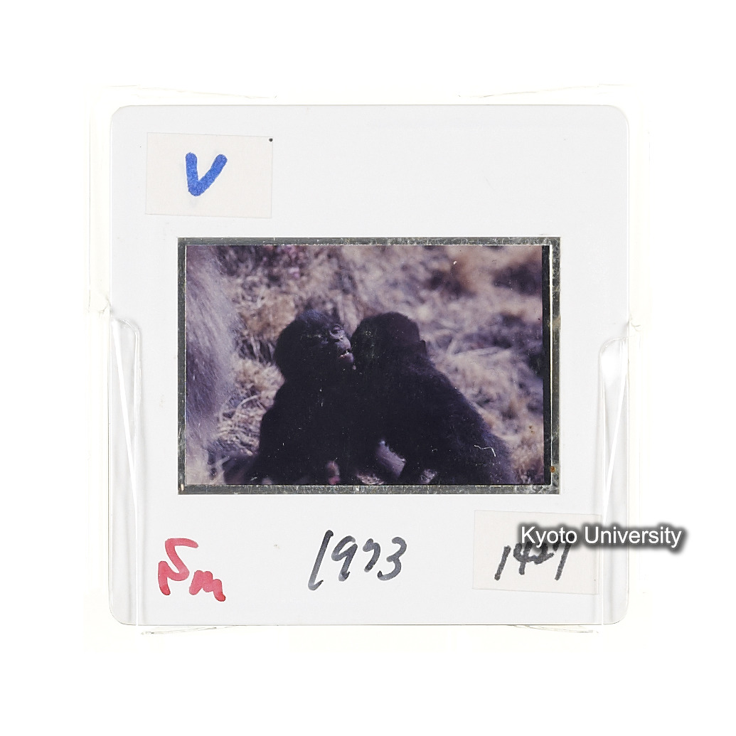 Sm　1973　1427 (2)