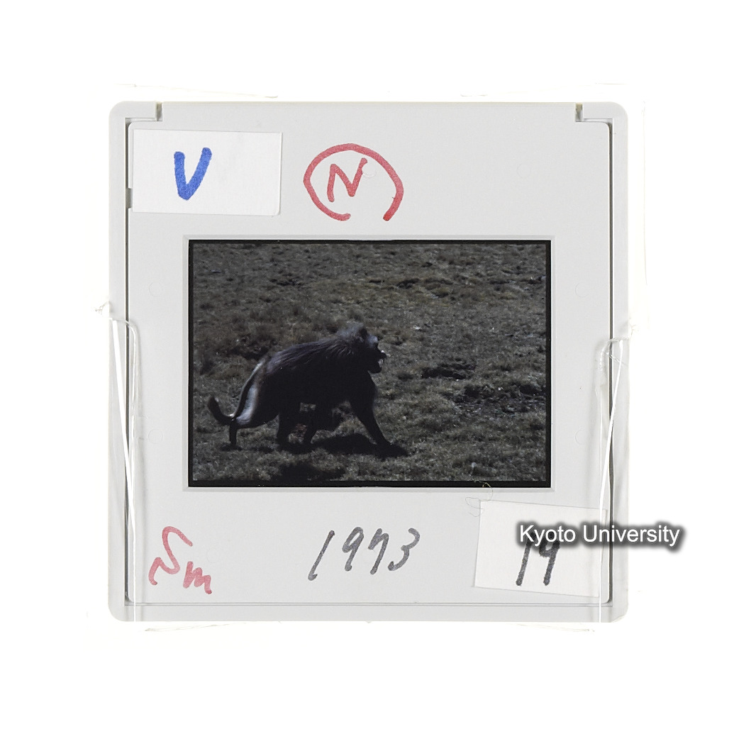 Sm　1973　19　（N）[赤色, 丸囲み] (2)