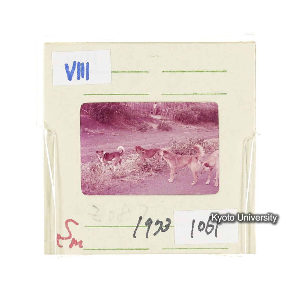 Sm　1973　1061 (2)