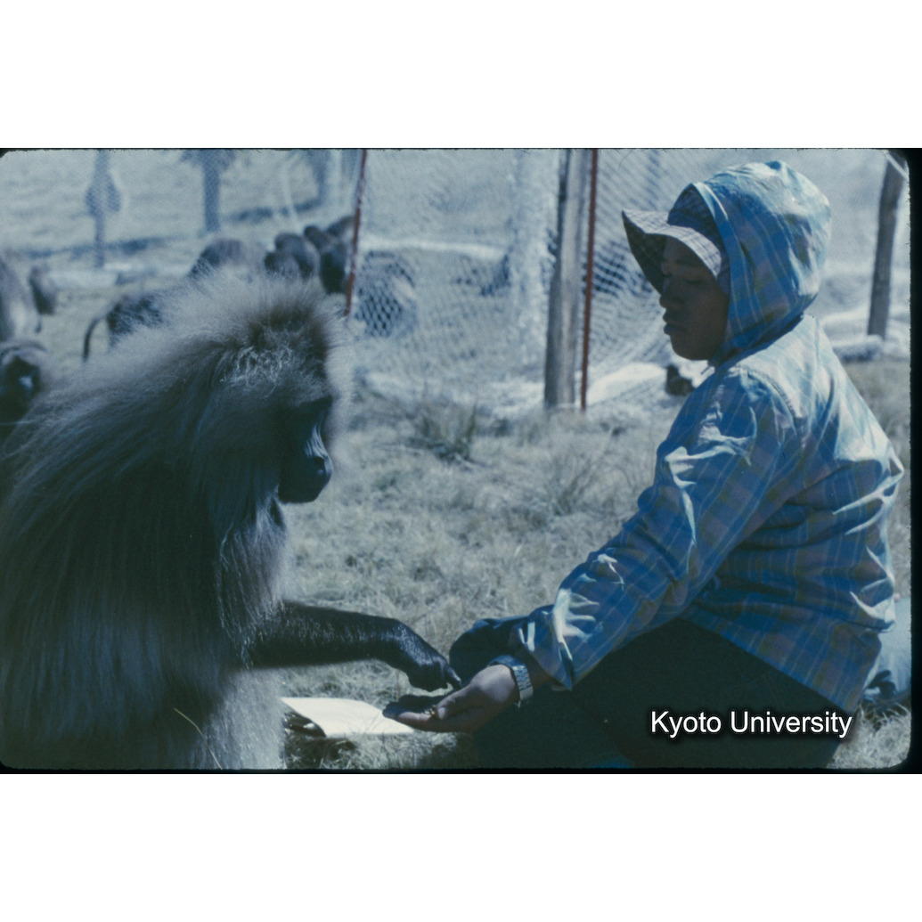 Sm　1973　60　（N）[赤色, 丸囲み] (1)