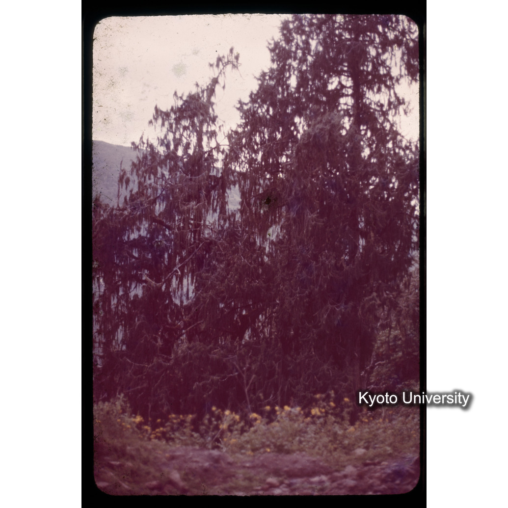 Sm　1973　1524 (1)