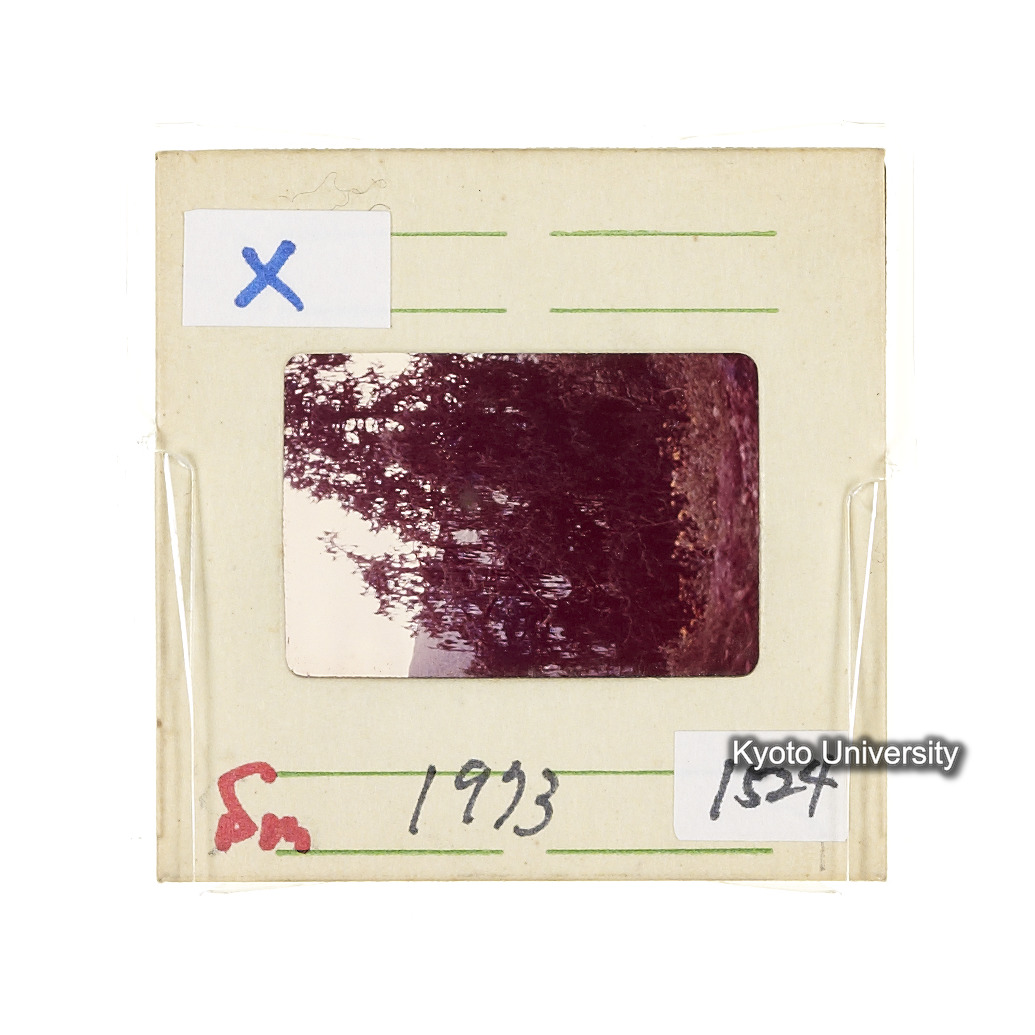 Sm　1973　1524 (2)