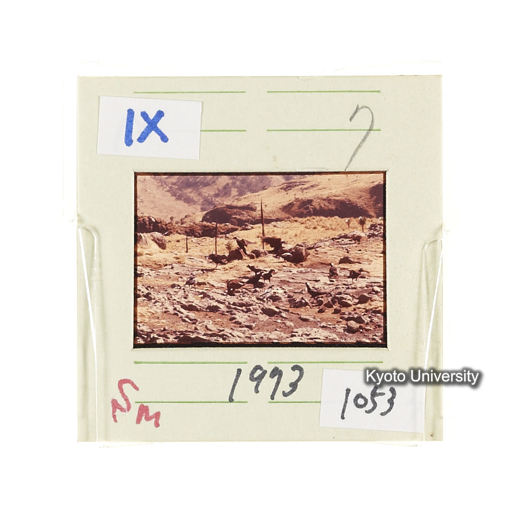 Sm　1973　1053 (2)