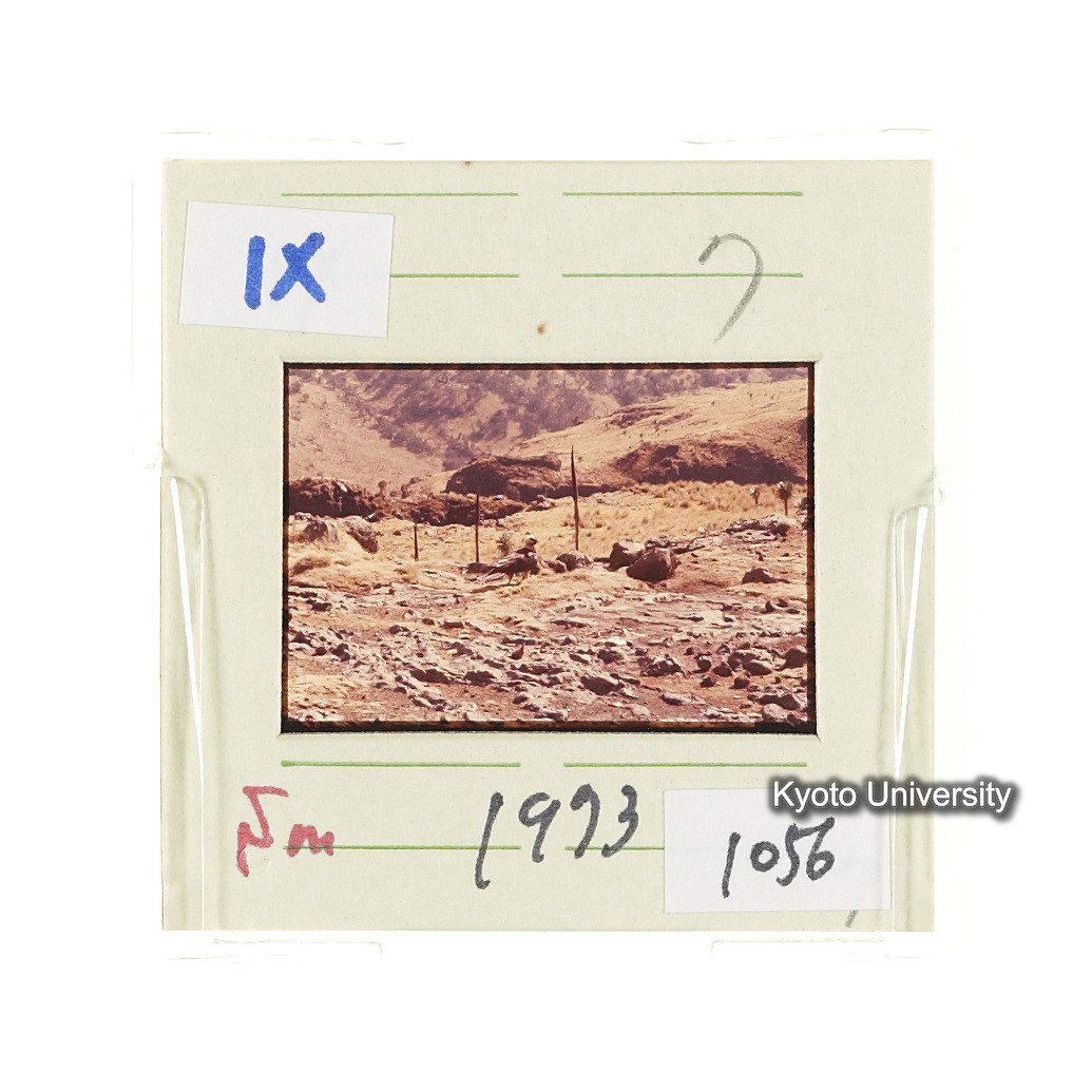 Sm　1973　1056 (2)