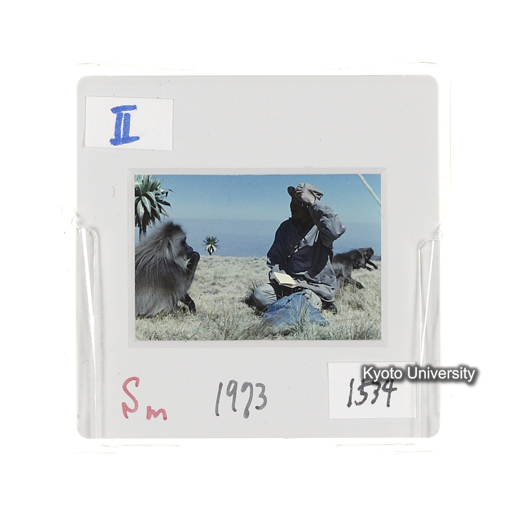 Sm　1973　1534 (2)