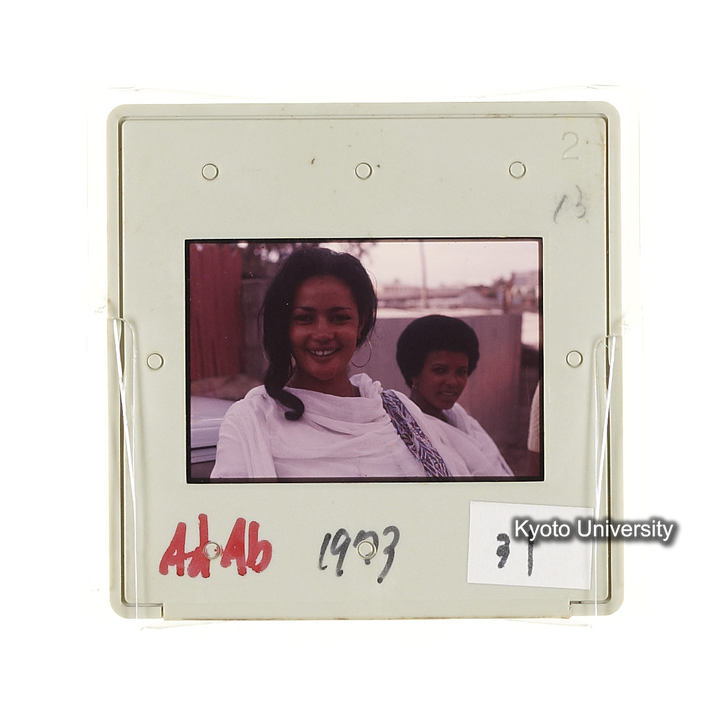 AdAb　1973　31 (2)