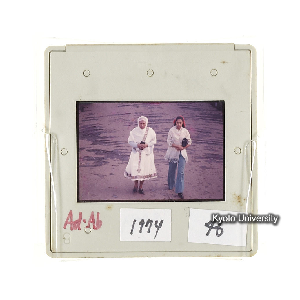 AdAb　1974　46 (2)