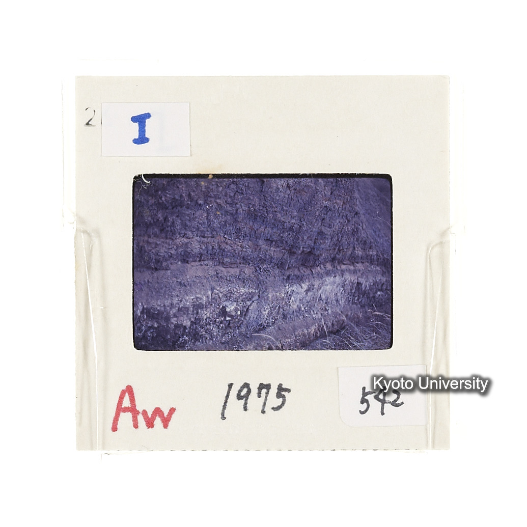 Aw　1975　542 (2)