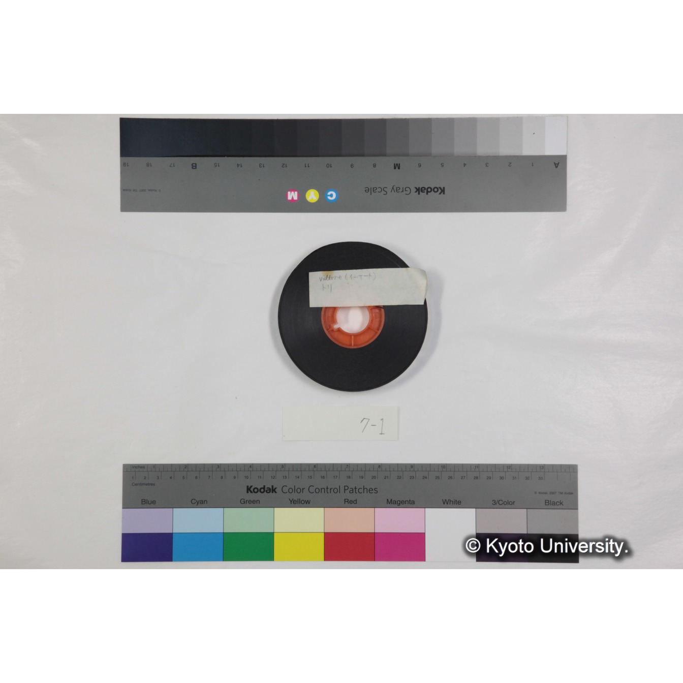 フッテージ１「vulture(インサート)　トリ」 (3)