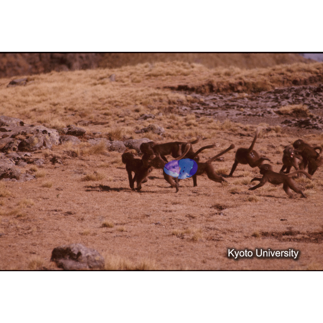 Sm　1973　74　（N）[赤色, 丸囲み] (1)