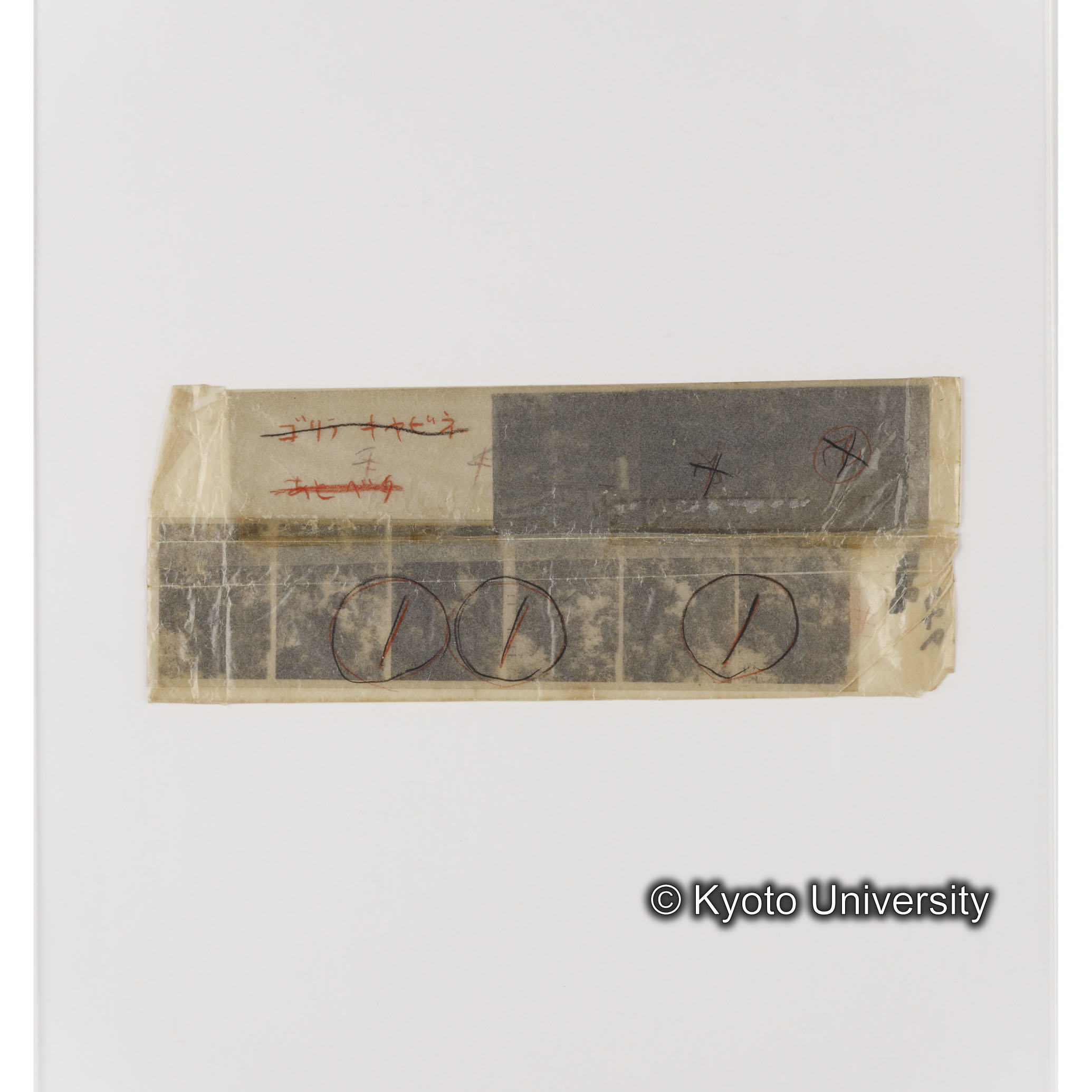 [ネガフィルムスリーブ26]「５５６」 (1)