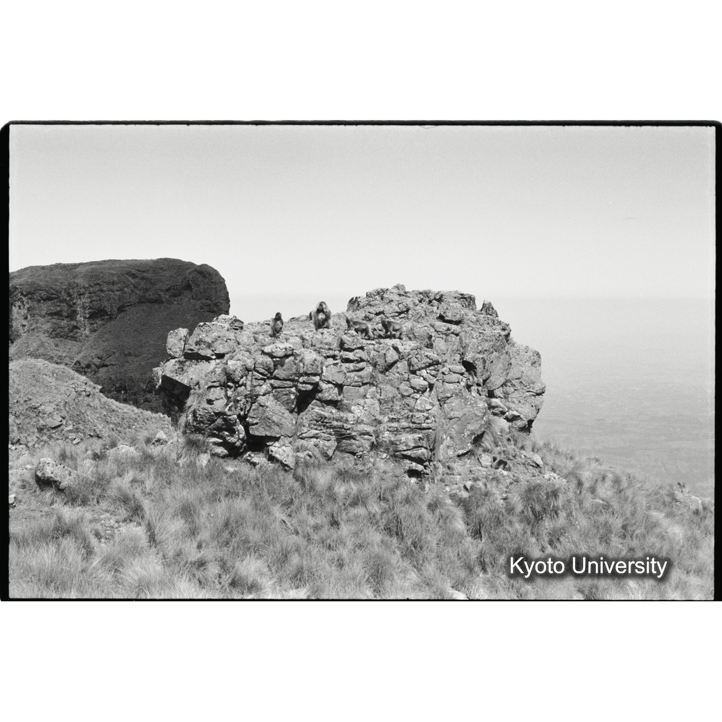 [２５コマ目]「警戒」 (1)