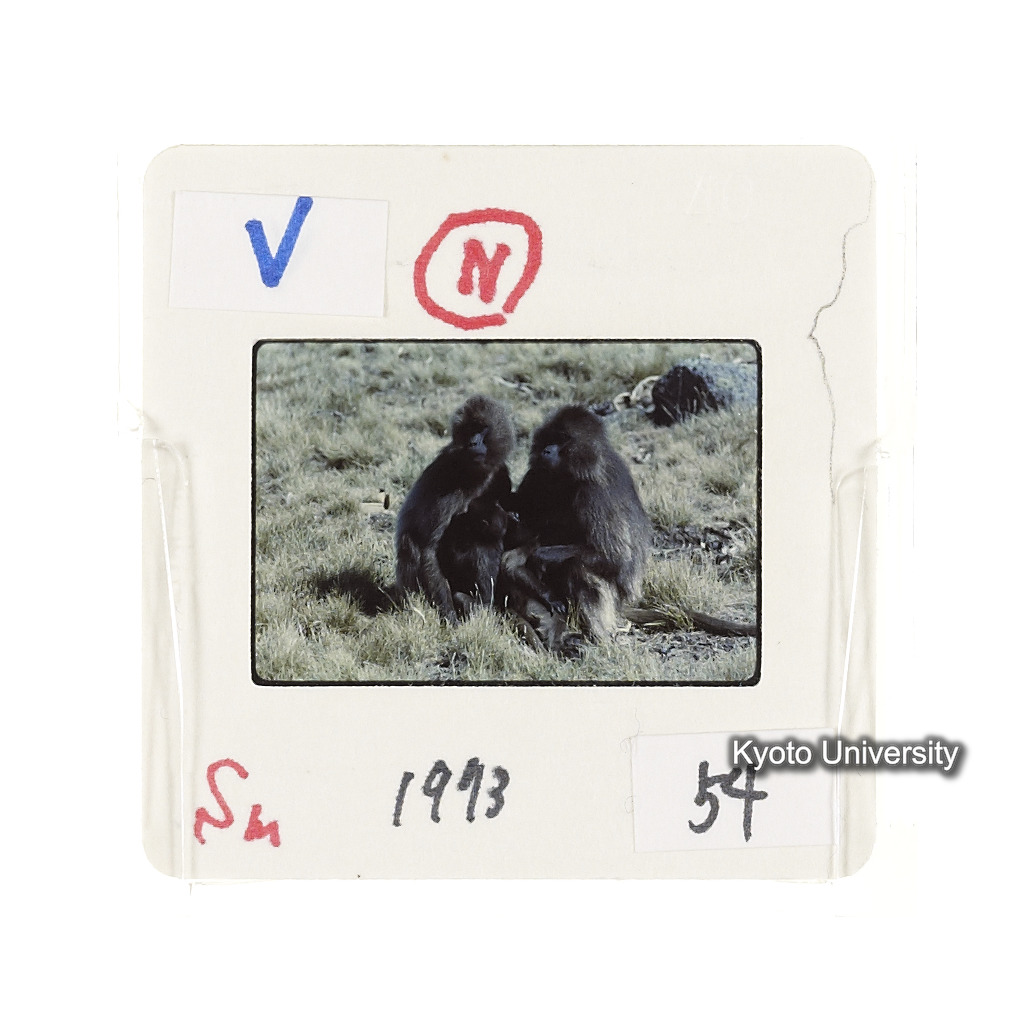 Sm　1973　54　（N）[赤色, 丸囲み] (2)