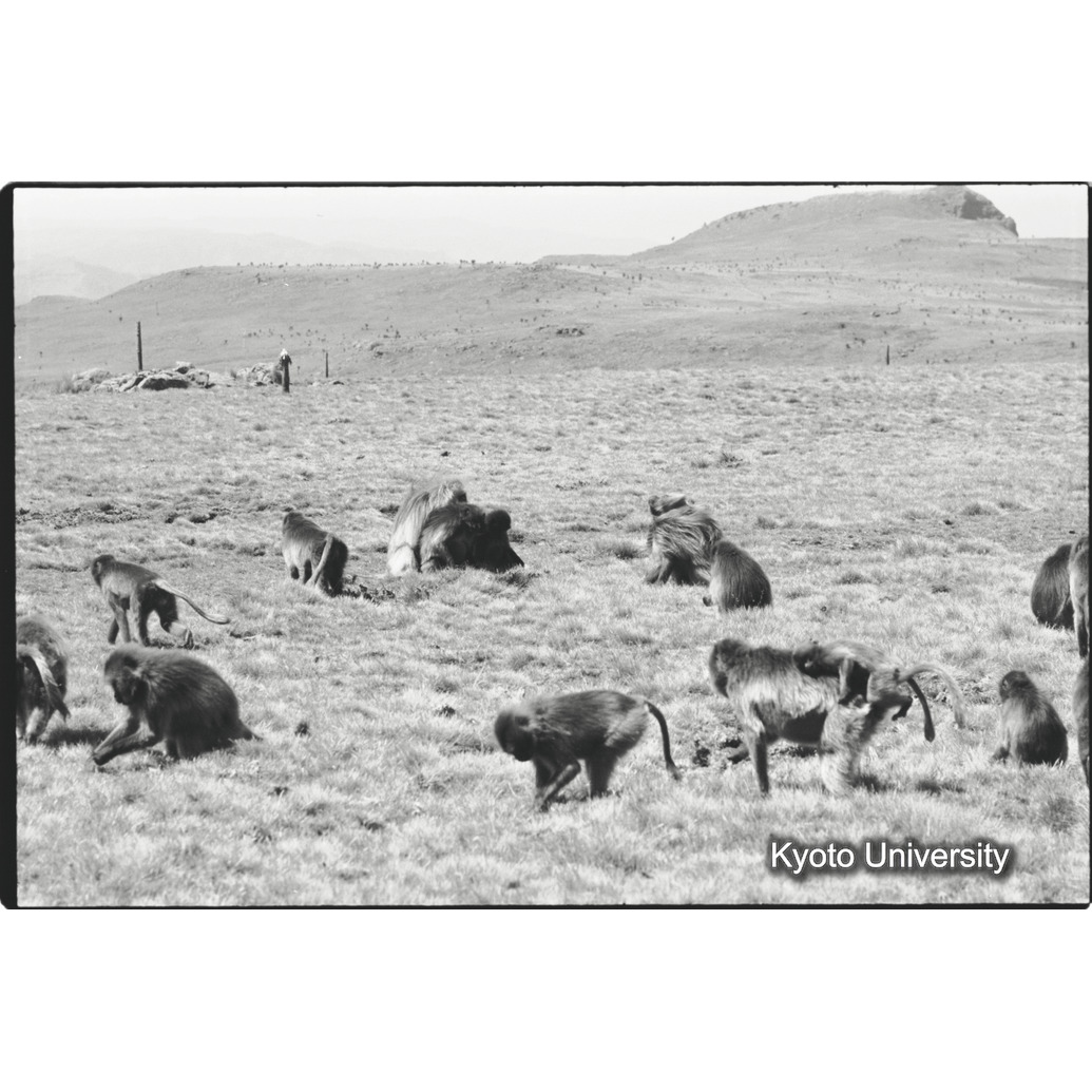 [３２コマ目]「×」 (1)