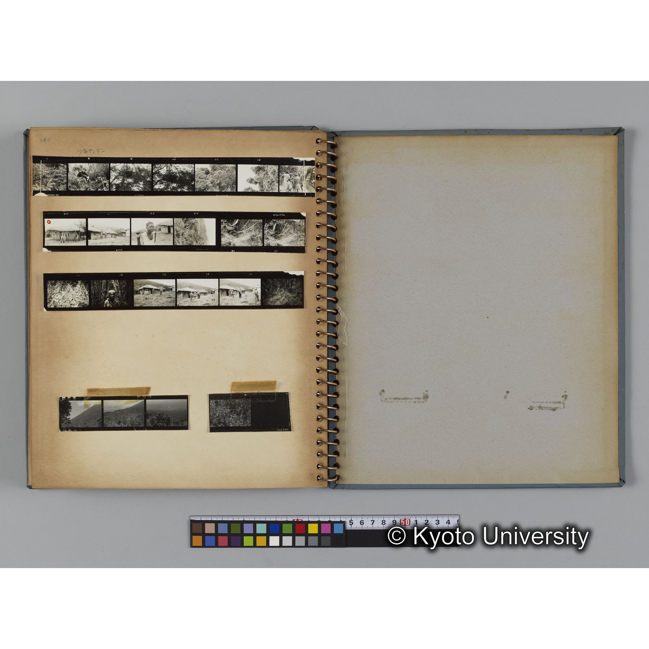 [見開き１７]ネガスリーブ560対応分 (1)